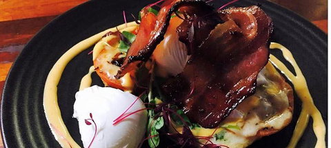 Wild Canary - Mackay Tourism 3