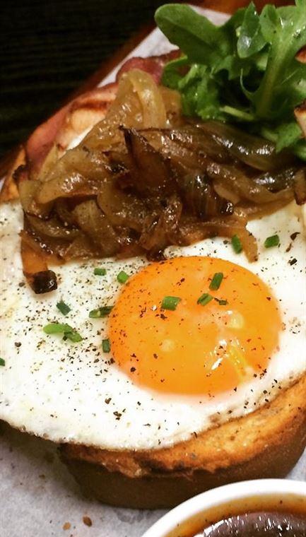 Wild Canary - Mackay Tourism 4