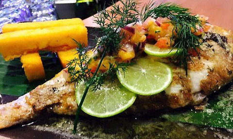 Wild Canary - Mackay Tourism 5