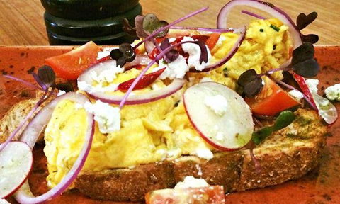 Wild Canary - Mackay Tourism 8