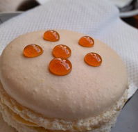 Yellow Bernard - Mackay Tourism