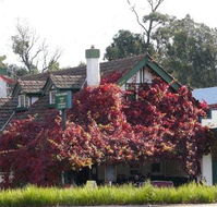 Fetching Treasures - Mackay Tourism