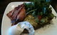 The Old Butcher Shop Cafe - thumb 0