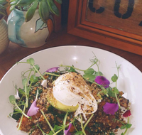 The Shak Organic Cafe  Wine Bar - Mackay Tourism