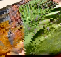 Lone Pine Tavern - Mackay Tourism