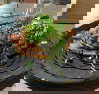 22 Grams Espresso - Mackay Tourism