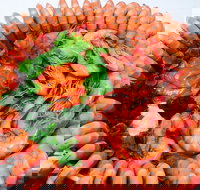 Evans Head Fishermens Co-Op - Mackay Tourism