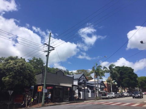 Sparrow - Mackay Tourism 0