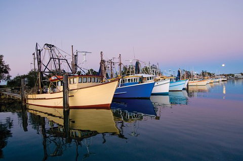Clarence River Fishermen's Co-Operative - Mackay Tourism 0