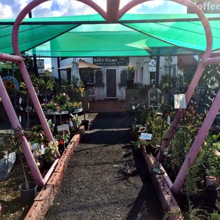 Gilgandra NSW Mackay Tourism