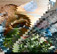 Caffe Cherry Beans Canberra Centre - Mackay Tourism