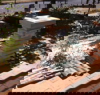 Country Bonsai Cafe and Garden Centre - Mackay Tourism