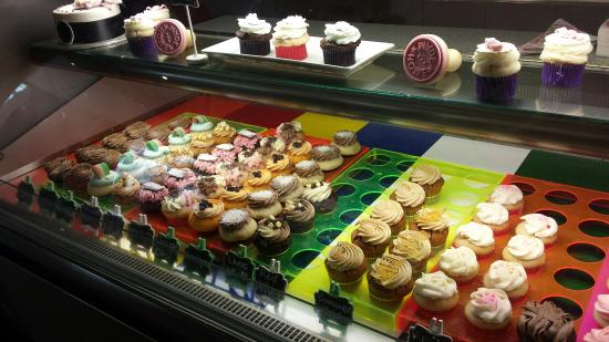 Bars Sydney ROLL-PLUS Mackay Tourism