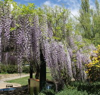 Gods Cafe  Bar - Mackay Tourism