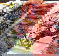 Fitzies Fish and Chips - Mackay Tourism