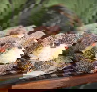 Parmi Bandit - Mackay Tourism