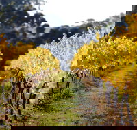 Prickly Moses Brewery - Mackay Tourism