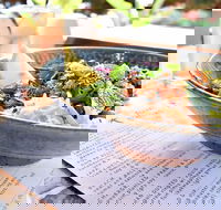 Beach Bum - Mackay Tourism