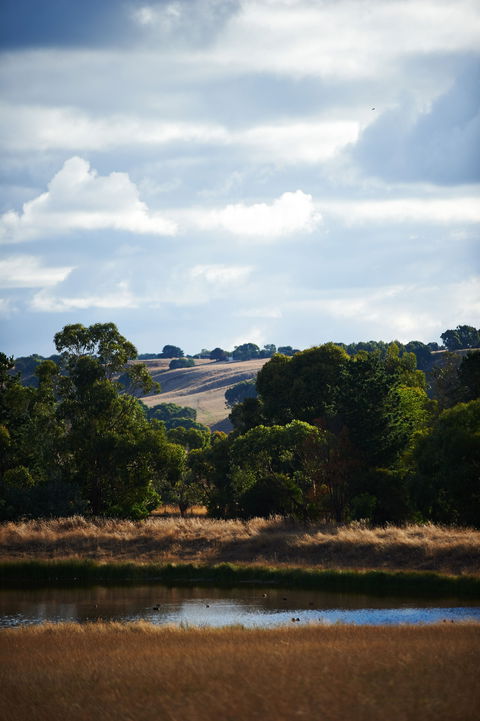 Brae - Mackay Tourism 1