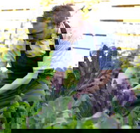 Chiswick Restaurant Woollahra - Mackay Tourism