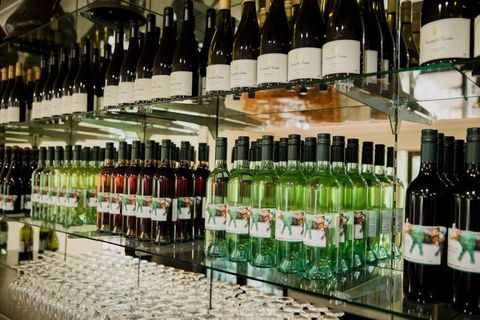 Constable Estate Vineyard - Mackay Tourism 2