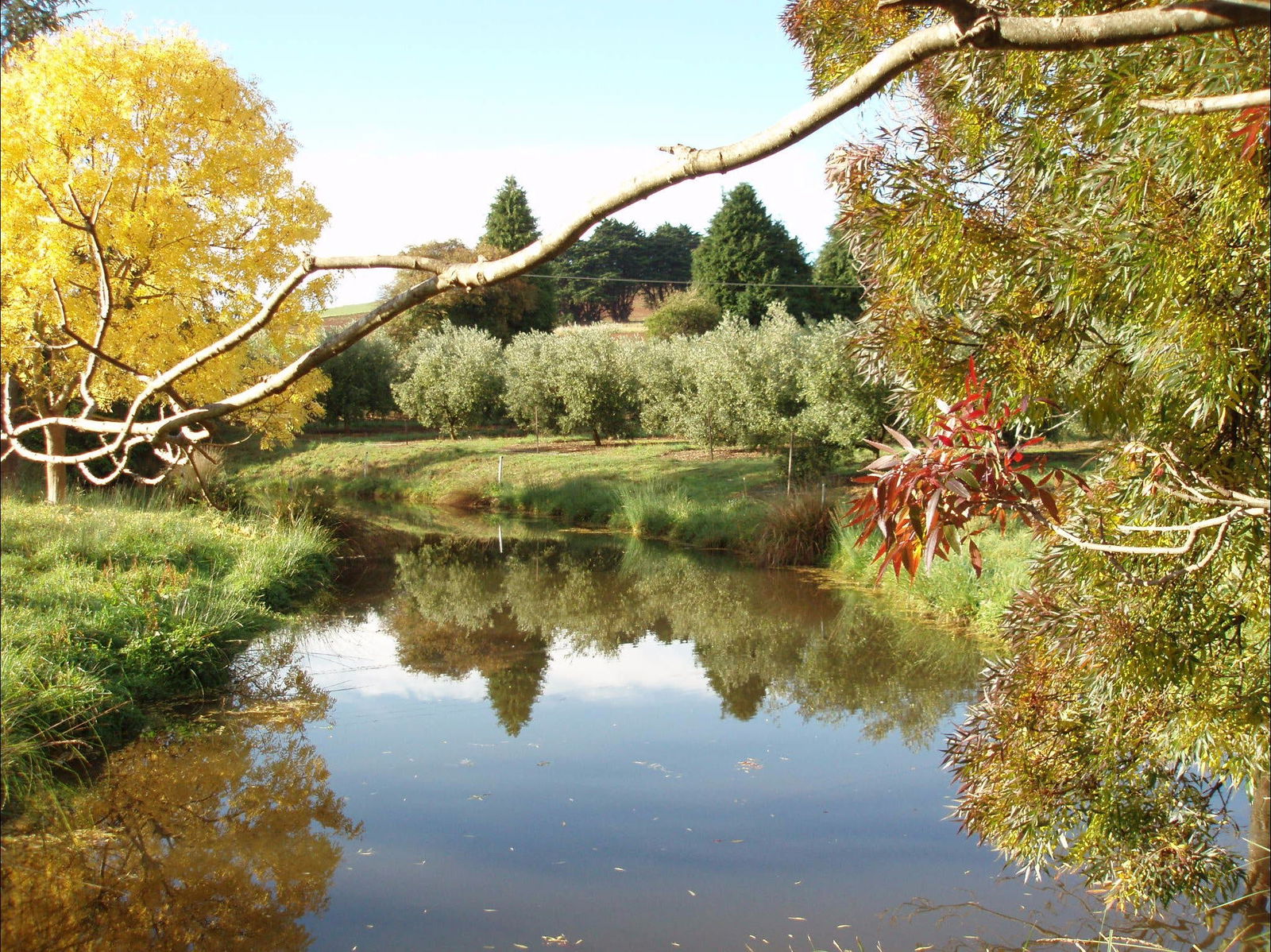 Abbotsham TAS Mackay Tourism