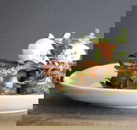 Daark Espresso Bar - Mackay Tourism