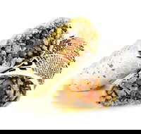 Guzman y Gomez - Hamilton - Mackay Tourism