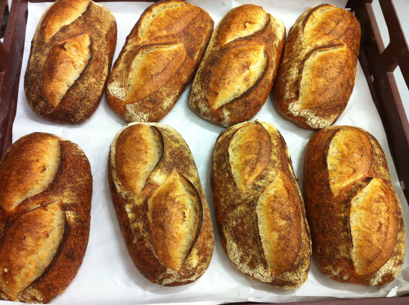 Toorak VIC Mackay Tourism