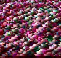 Hillside Harvest - Mackay Tourism