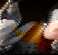 Hope Estate Brewery - Mackay Tourism