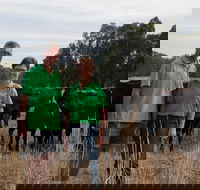 Milawa Organic Beef - Mackay Tourism