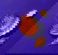 House Bar - Mackay Tourism