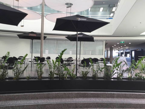 D Cafe - Mackay Tourism 0