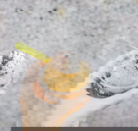 Spice Cottage - Mackay Tourism