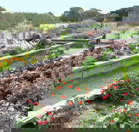 The Farmer's Place - Mackay Tourism
