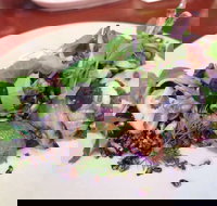 YaYa Bar and Eatery - Mackay Tourism