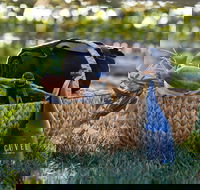 Rowlee Wines Picnic Hamper - Mackay Tourism