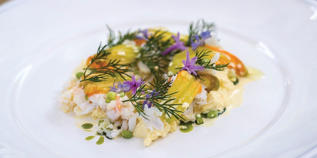 Montville QLD Mackay Tourism