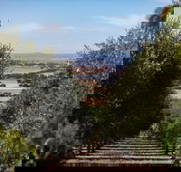 Wollundry Grove Olives - Mackay Tourism