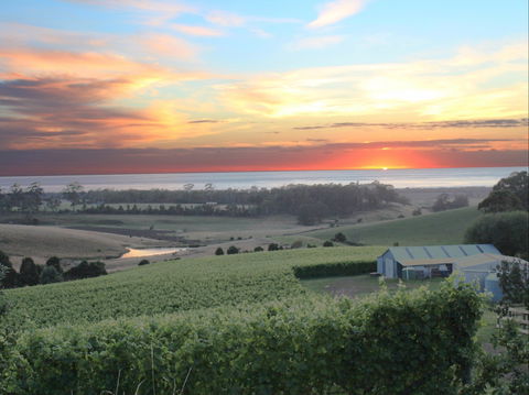 Cape Bernier Vineyard - Mackay Tourism 0