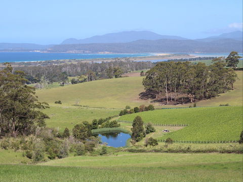 Cape Bernier Vineyard - Mackay Tourism 1