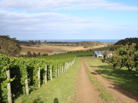 Cape Bernier Vineyard - Mackay Tourism 2