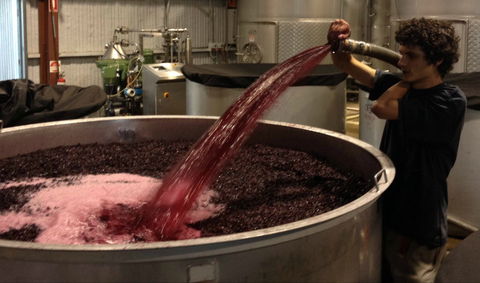 Ross Hill Wines - Mackay Tourism 2