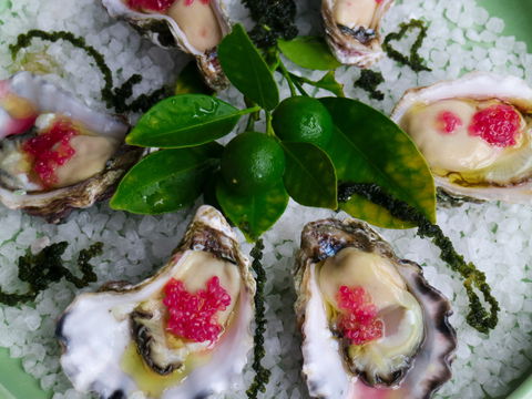 Bella Char Restaurant + Wine Bar - Mackay Tourism 0