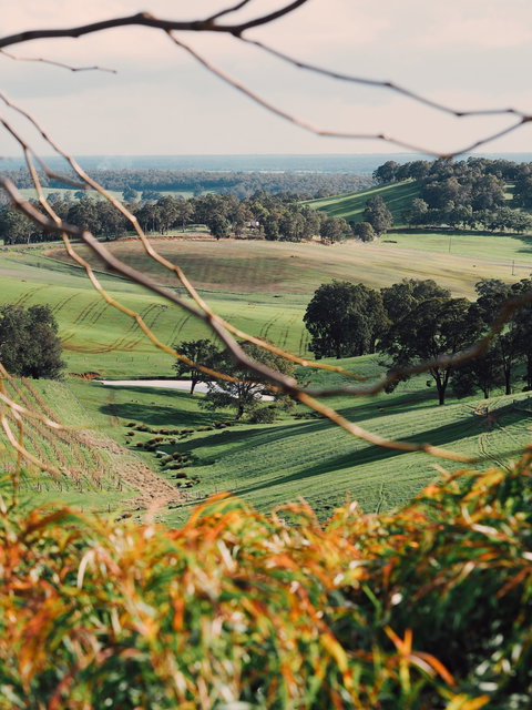 Green Door Winery Cellar Door - Mackay Tourism 0