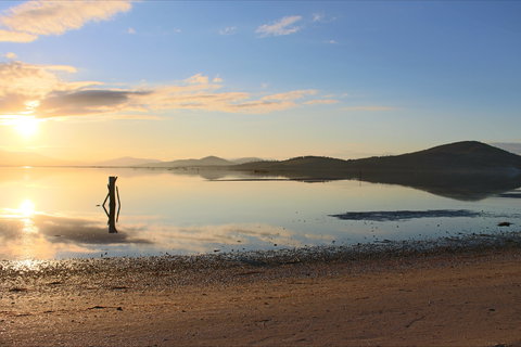 Barilla Bay Oysters - Mackay Tourism 2