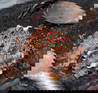 Cold Rock Ice Creamery - Broadbeach - Mackay Tourism