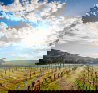 Fallen Giants Vineyard - Mackay Tourism