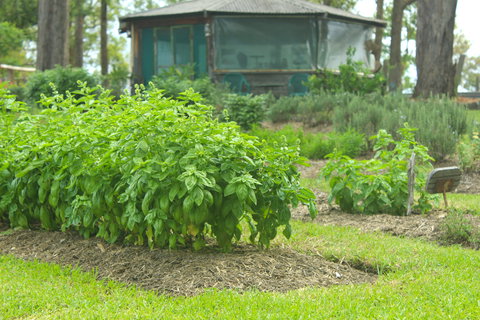 Hillview Herb Farm - Mackay Tourism 2
